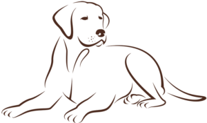 temporary page golden Pets People and Other Animals. Line drawing of a dog with floppy ears.